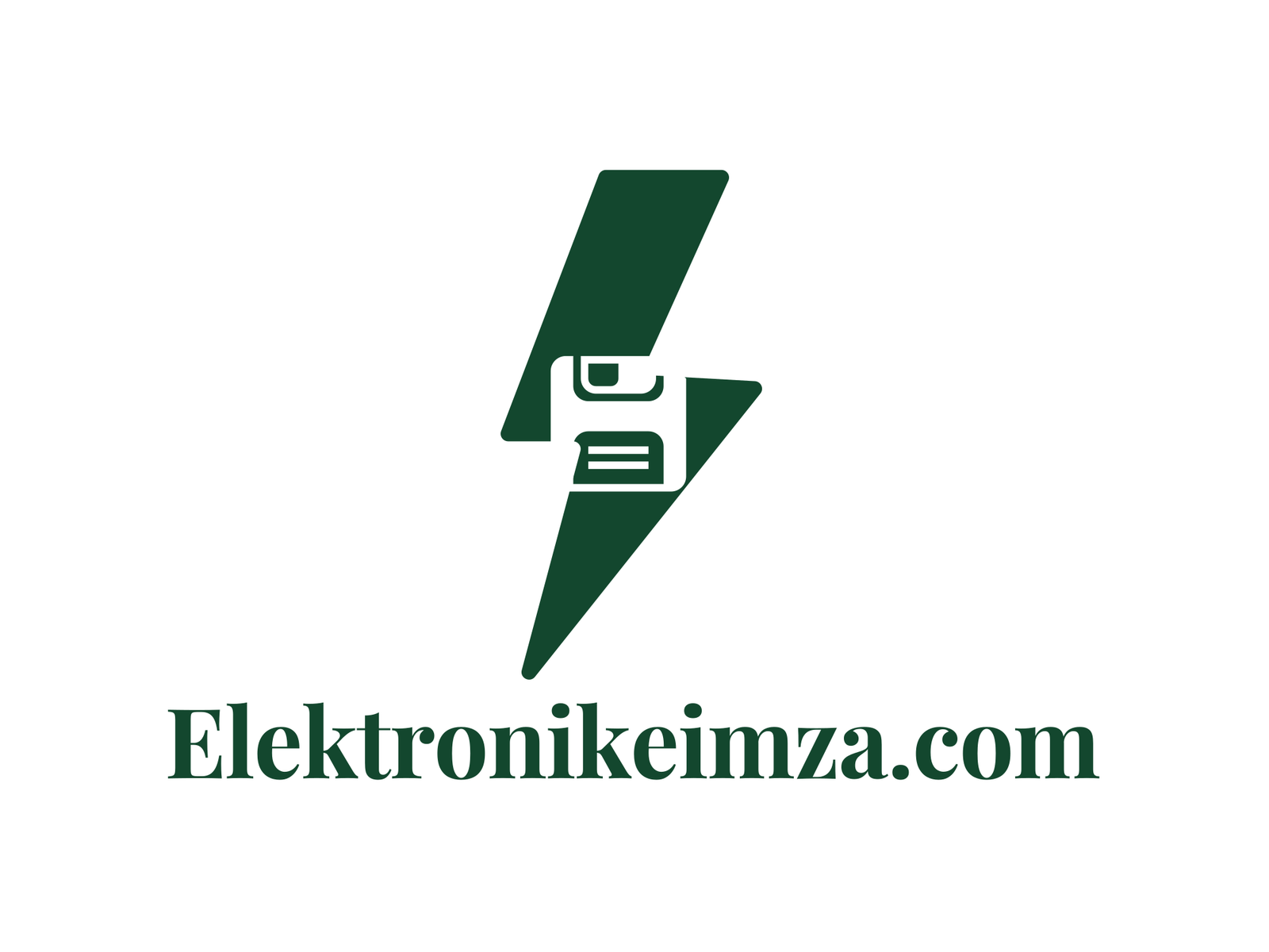 Elektronik Eimza